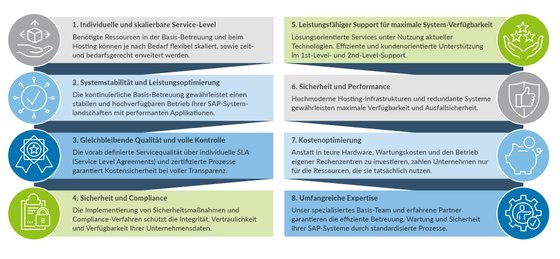 Grafik Mehrwerte SAP Basis Betreuung und IT Hosting